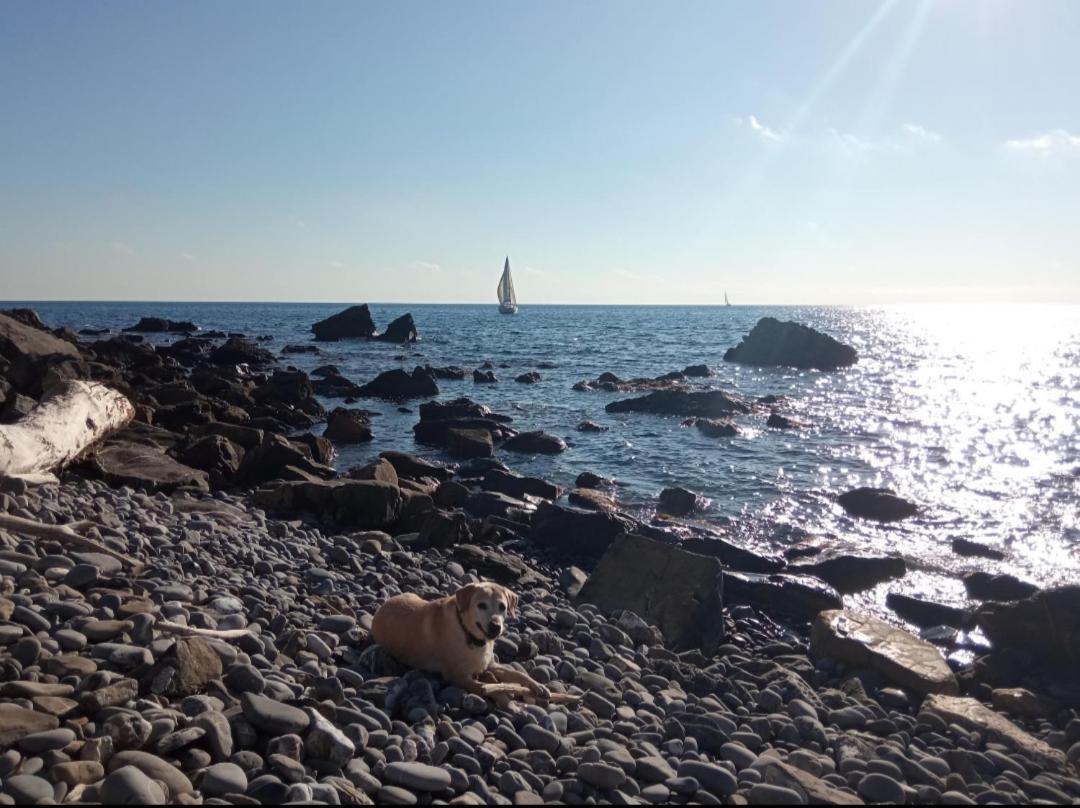 צ'רבו Cluxury-Torre Dei Saraceni Boutique Apt By The Sea Beach, Pool,Private Jacuzzi, Parking מראה חיצוני תמונה